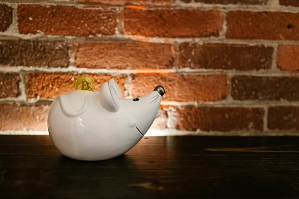 L'importance de l'enlèvement professionnel de l'amiante